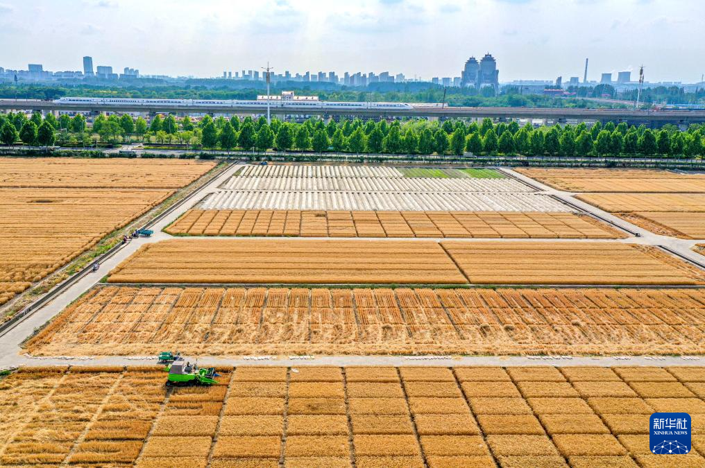 小满将至农事忙