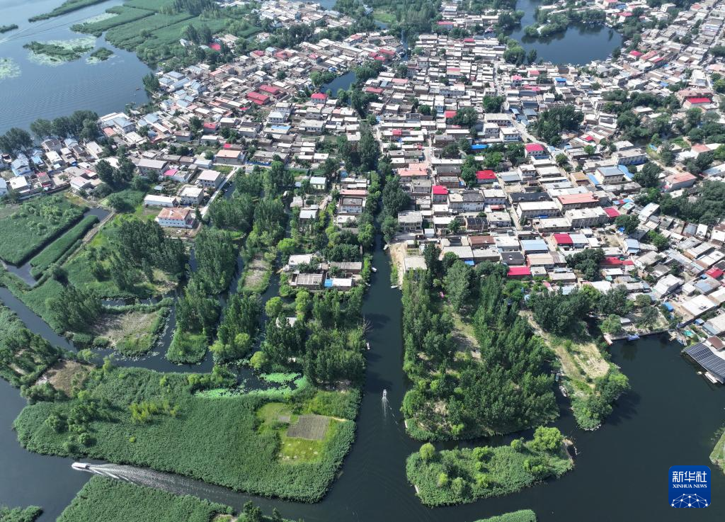 美丽中国丨白洋淀夏日风光之美