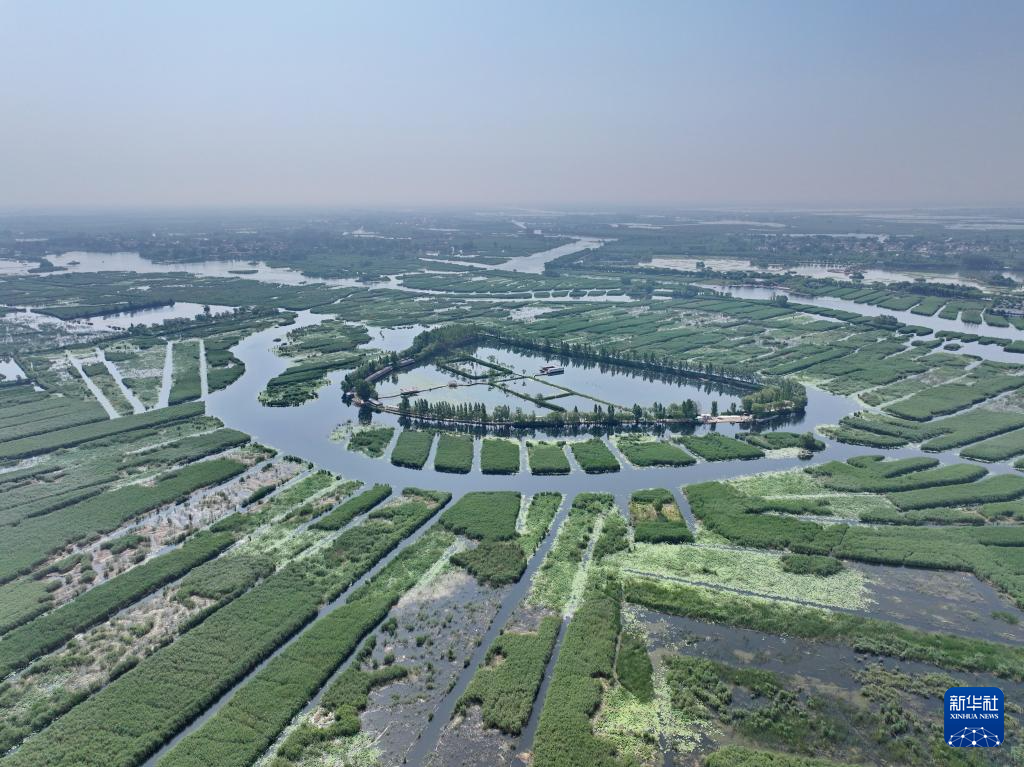 美丽中国丨白洋淀夏日风光之美