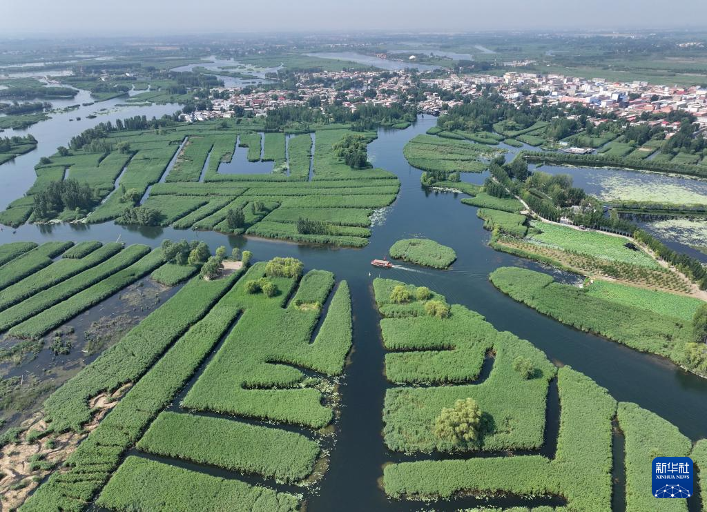 美丽中国丨白洋淀夏日风光之美