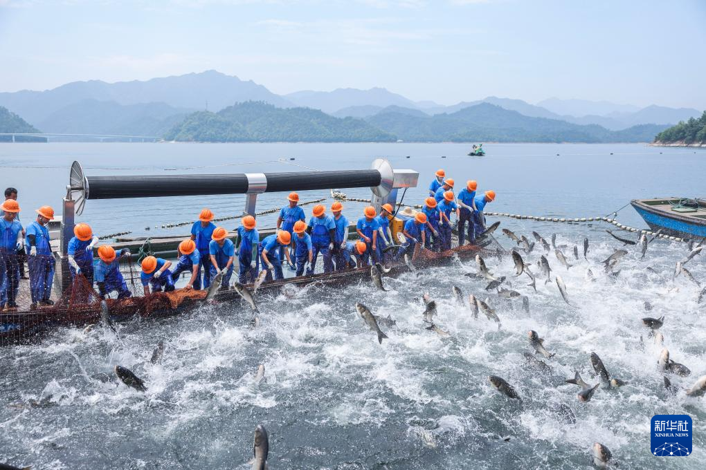 中国之城丨浙江淳安:绿水青山间的“千岛湖之城”