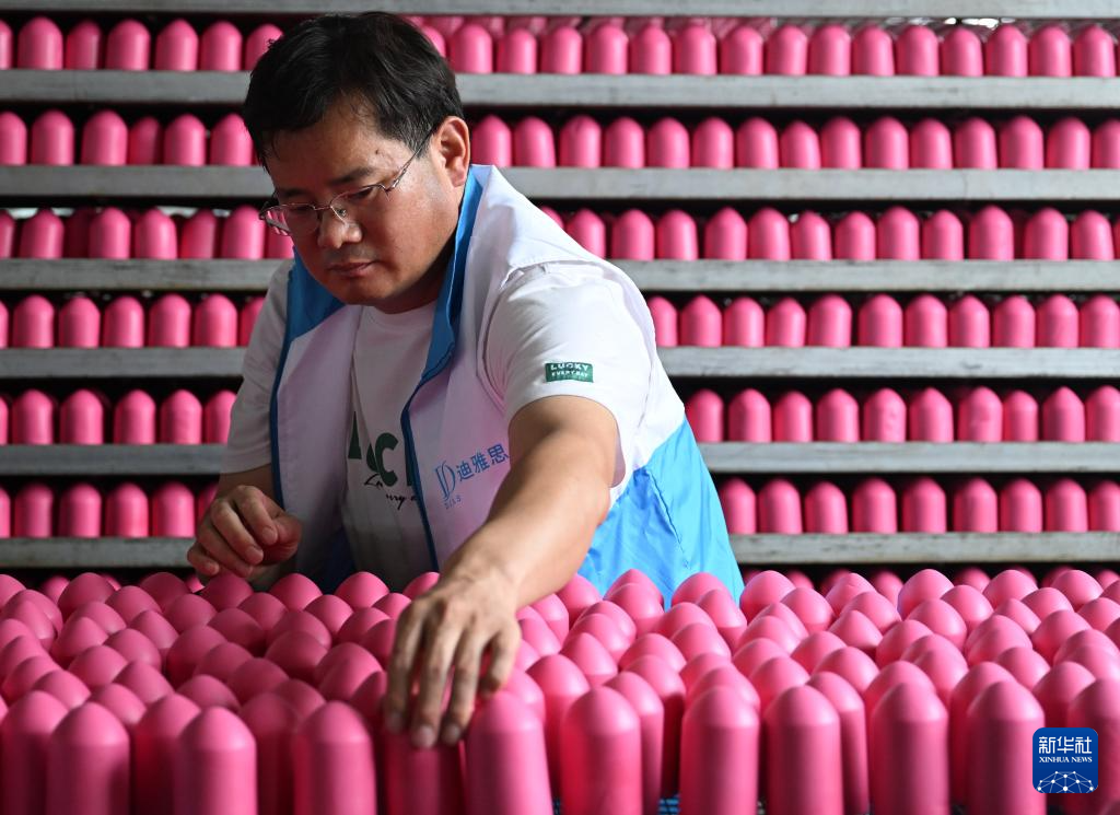 河南鹿邑：化妆刷之乡打造“美丽经济”