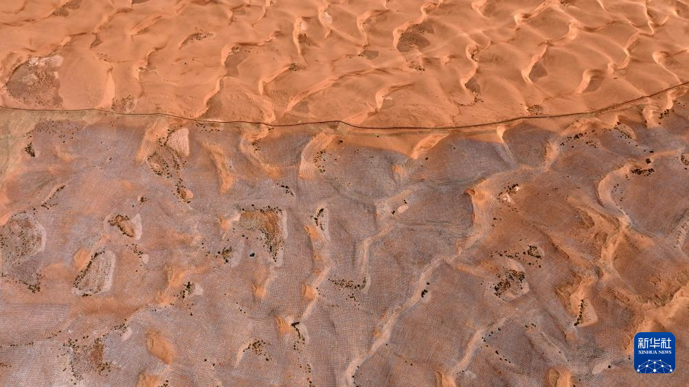 绿进沙退 中国“绿色长城”全面锁边腾格里沙漠东南缘