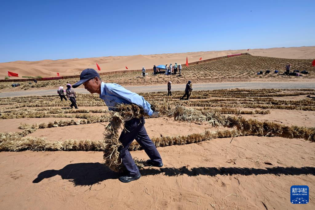 绿进沙退 中国“绿色长城”全面锁边腾格里沙漠东南缘