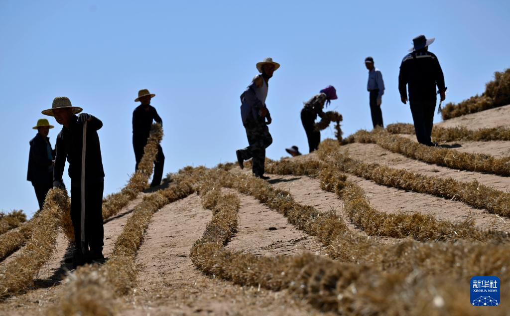 绿进沙退 中国“绿色长城”全面锁边腾格里沙漠东南缘