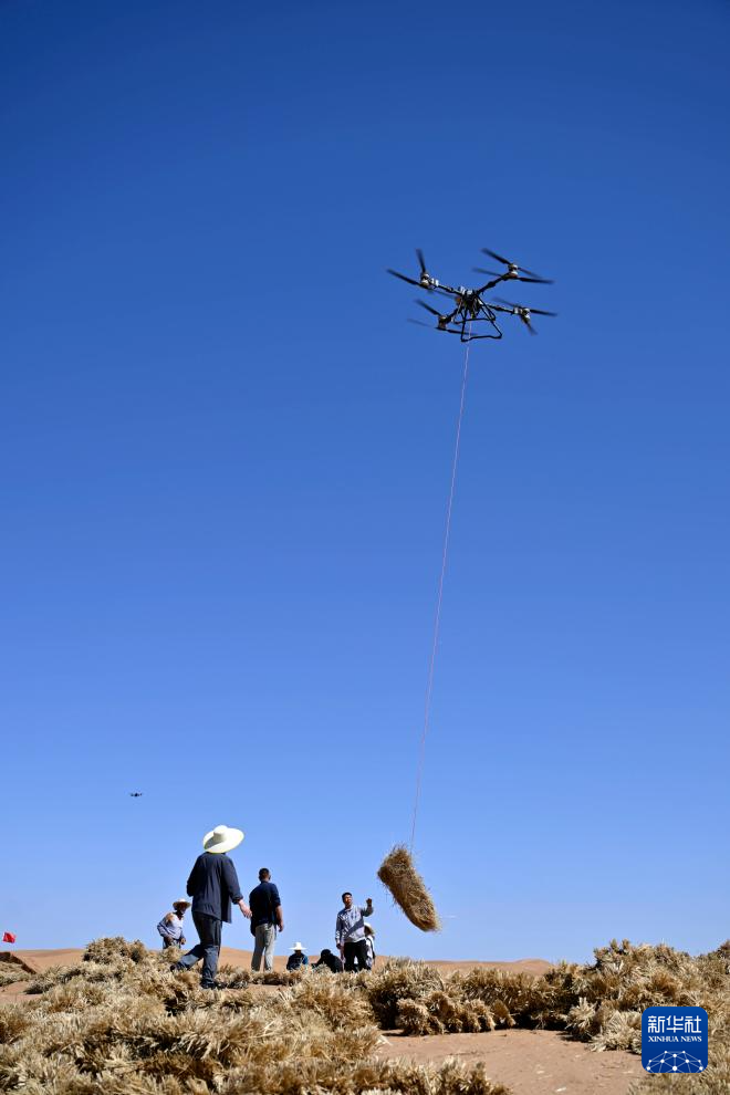 绿进沙退 中国“绿色长城”全面锁边腾格里沙漠东南缘