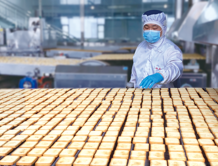 探访黄土地上的“小巨人”