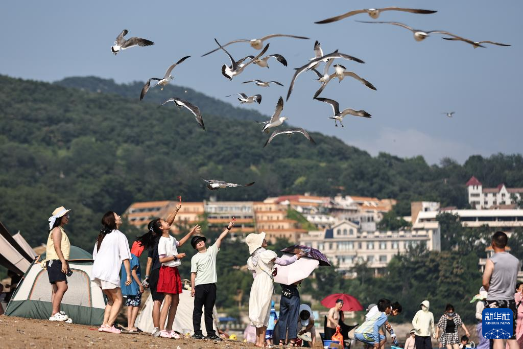 辽宁大连:海滨消暑