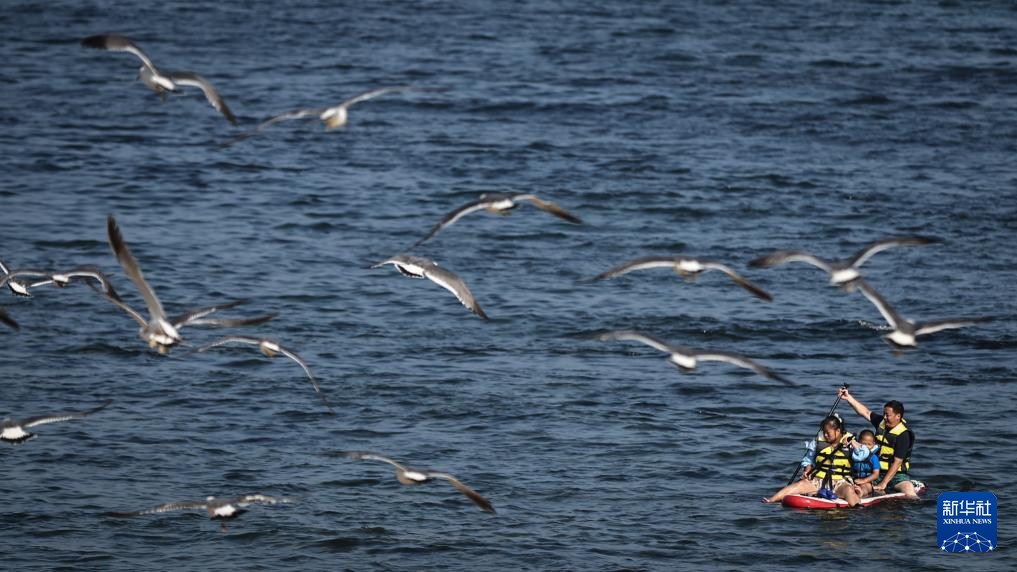 辽宁大连:海滨消暑