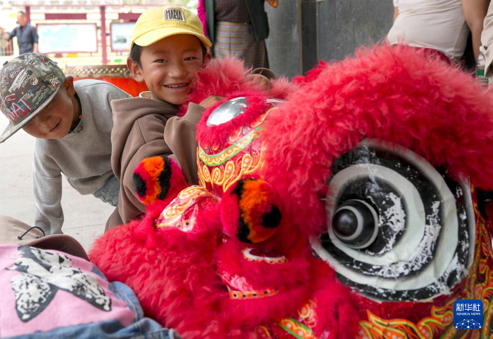 辉煌60载 魅力新西藏丨高原狮舞