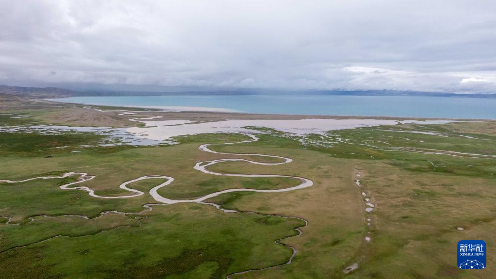 辉煌60载 魅力新西藏｜玛旁雍错湿地展现盛夏生命力