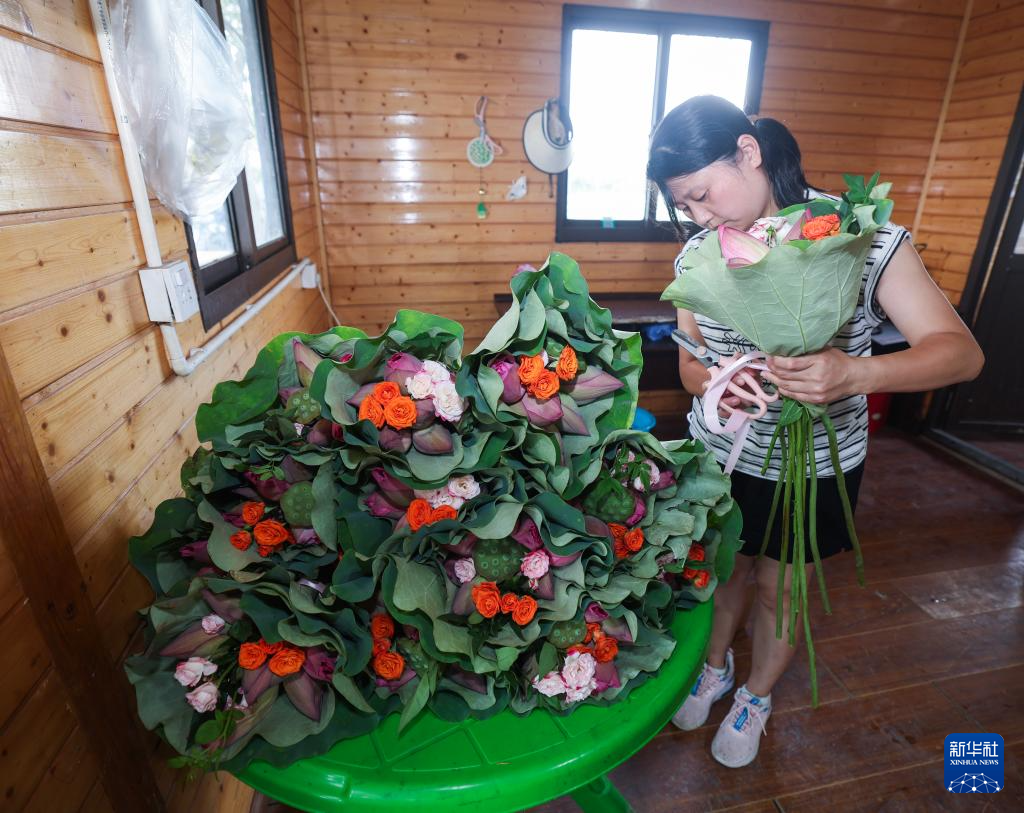 浙江海宁:山海协作“荷”力绘就共富新图景