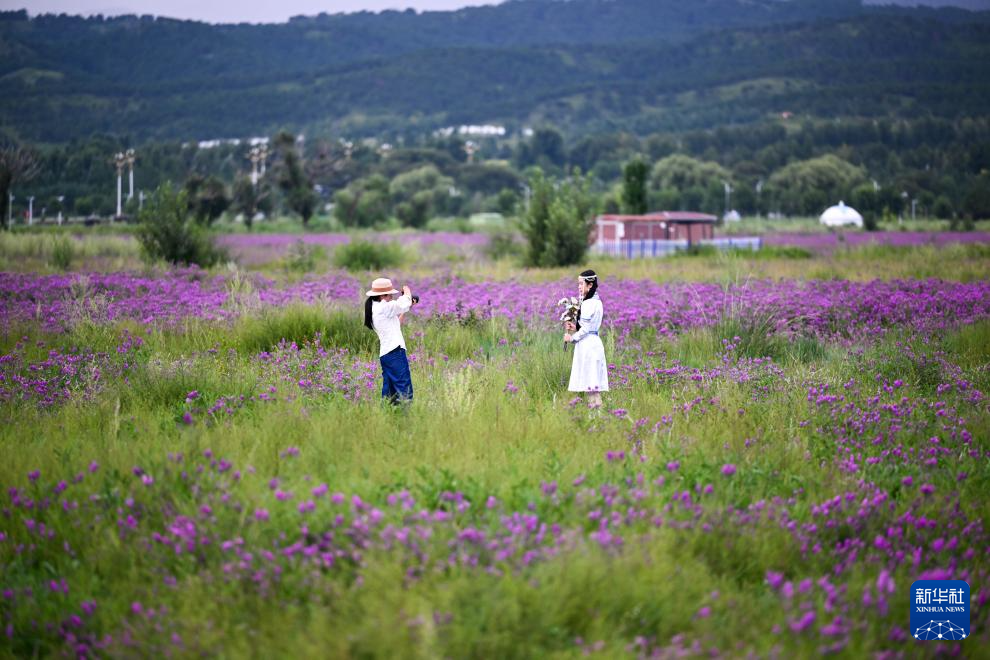 敕勒川草原引客来