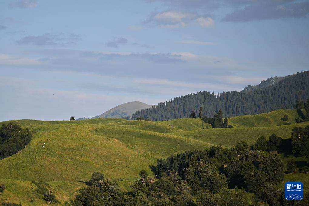 美丽中国丨壮美那拉提
