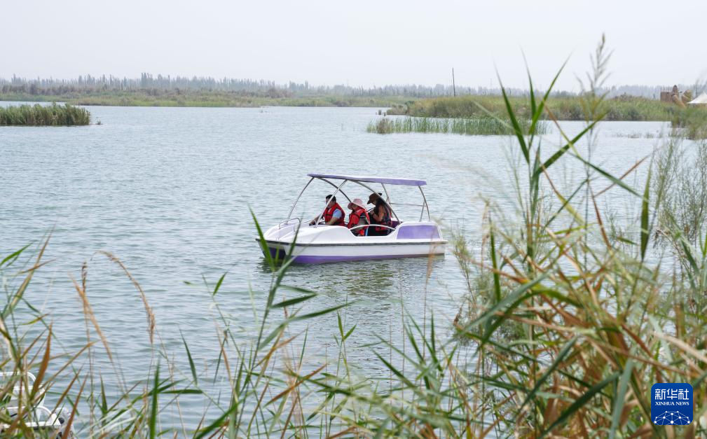 新疆：沙漠边“长出”湿地公园