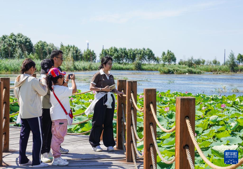 新疆：沙漠边“长出”湿地公园