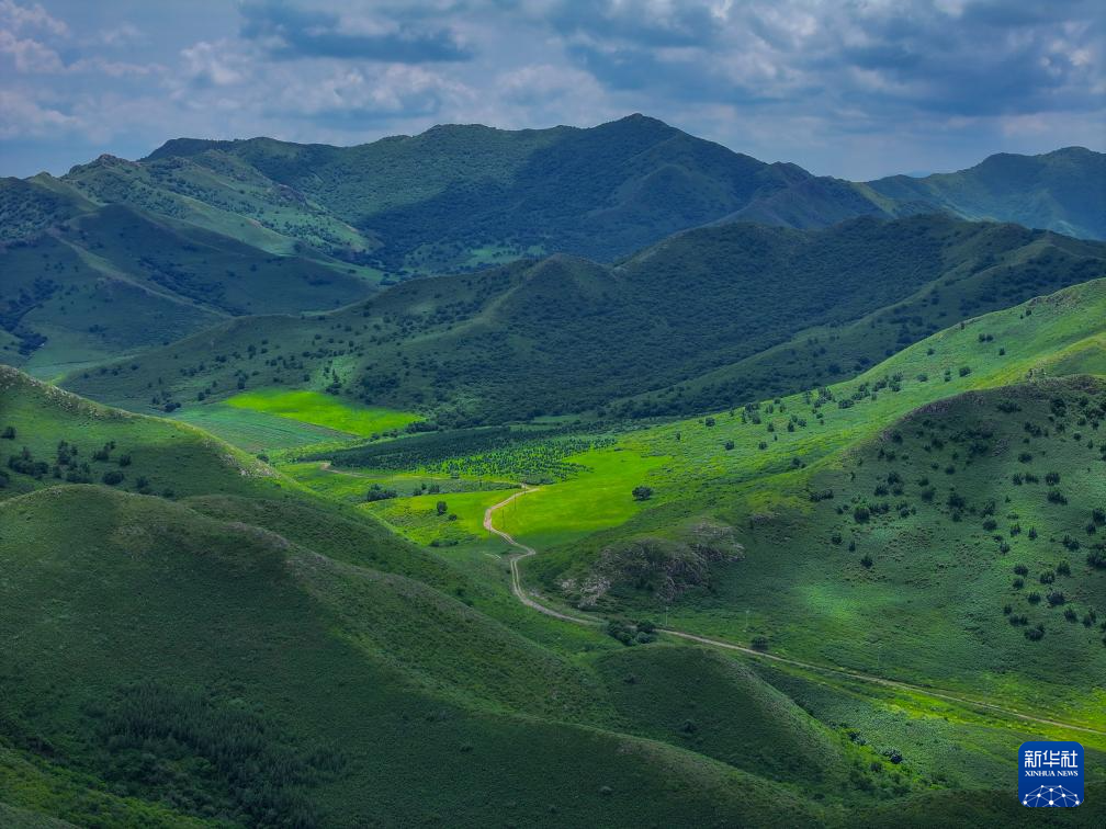 扎鲁特山地草原如诗如画
