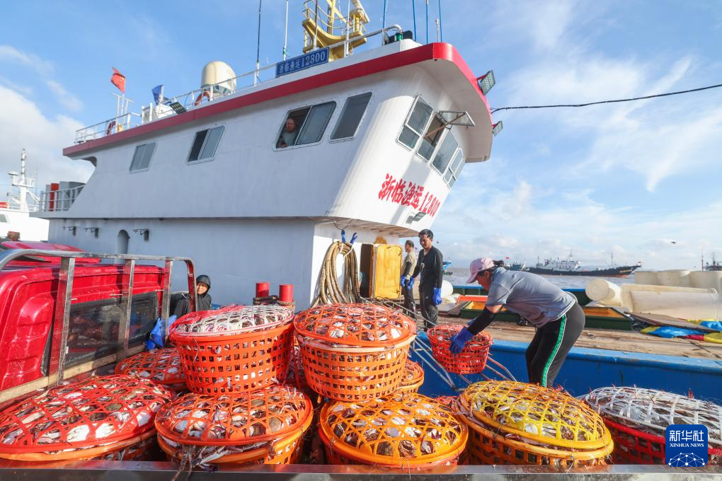 浙江舟山:开渔归来蟹满仓