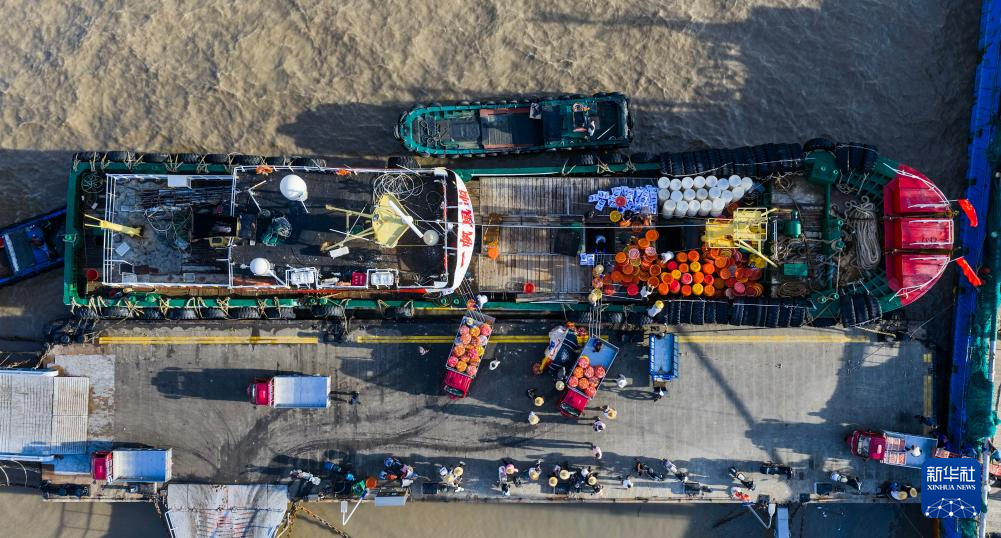 浙江舟山:开渔归来蟹满仓