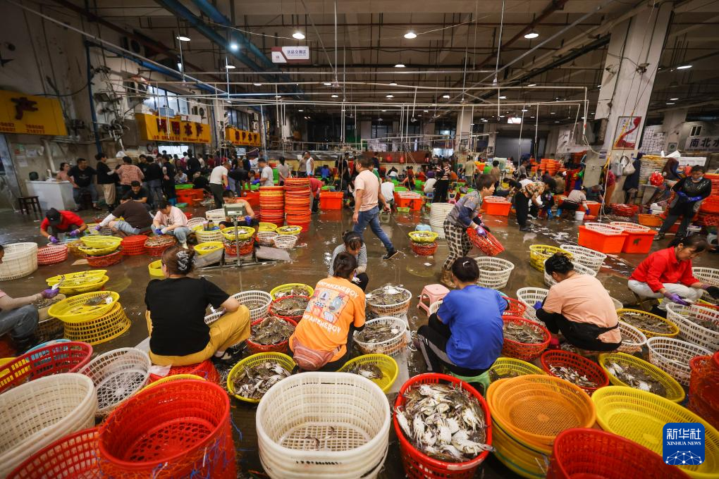 浙江舟山:开渔归来蟹满仓