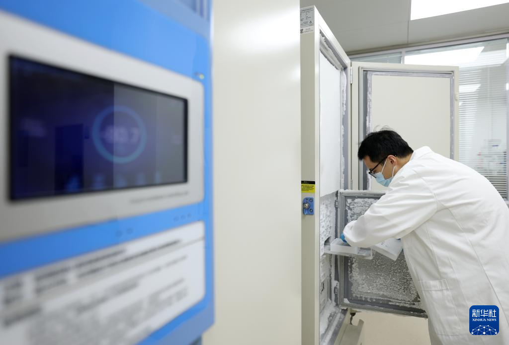 麋鹿“回家”40载 从本土灭绝到呦呦鹿鸣