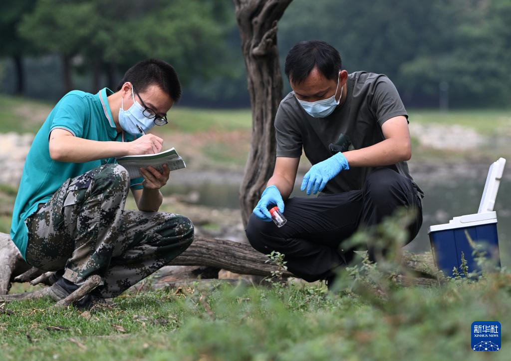 麋鹿“回家”40载 从本土灭绝到呦呦鹿鸣