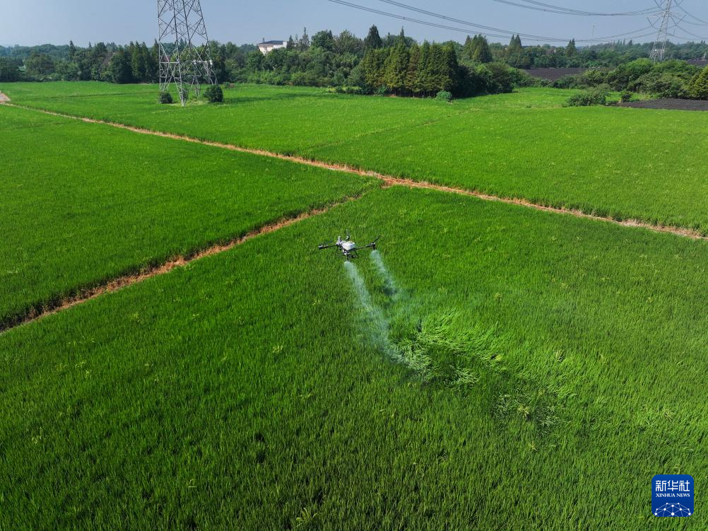 浙江长兴：推进全域土地综合整治 助力美丽乡村建设