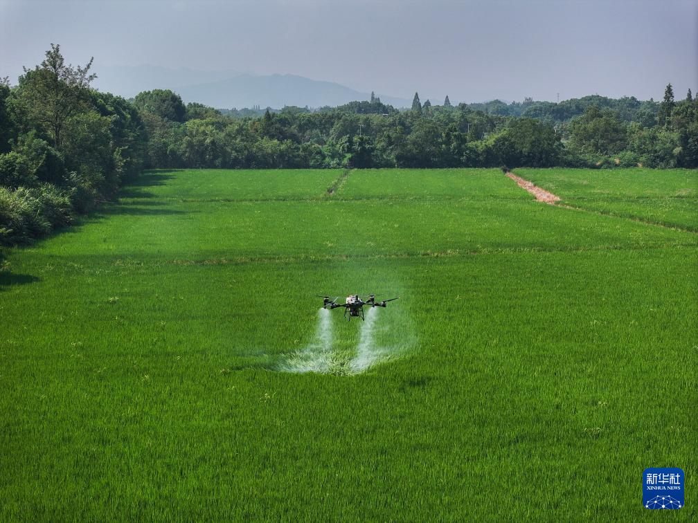 浙江长兴：推进全域土地综合整治 助力美丽乡村建设