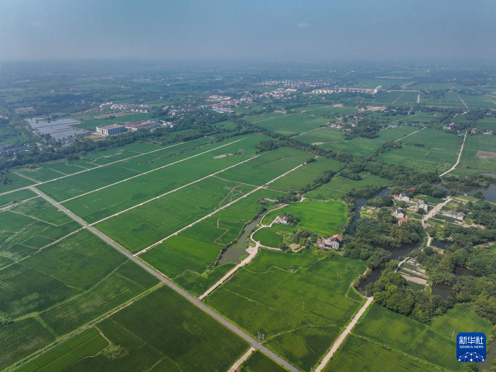 浙江长兴：推进全域土地综合整治 助力美丽乡村建设