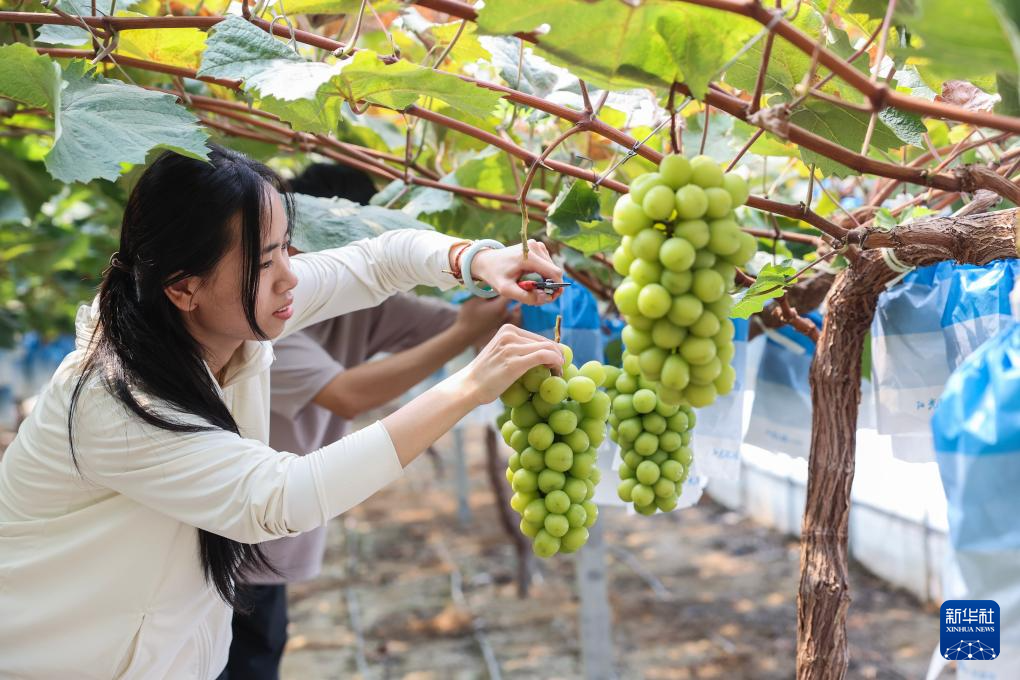 浙江长兴：推进全域土地综合整治 助力美丽乡村建设