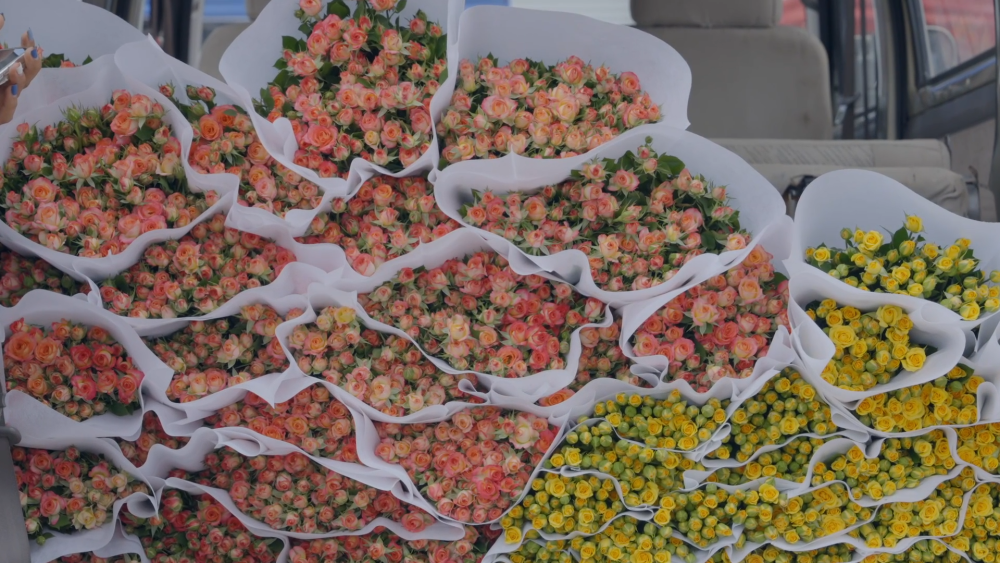 美丽遇甜蜜 消费“别样红”——云南鲜切花七夕节前市场一线观察