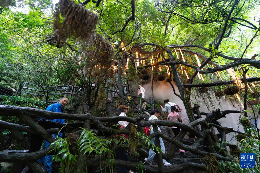 云南广南:三产融合铺就铁皮石斛致富路