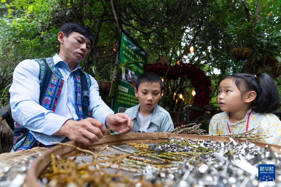 云南广南:三产融合铺就铁皮石斛致富路