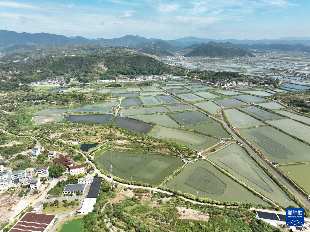 浙江:三门湾青蟹迎丰收