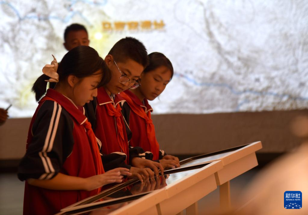 第八届马家窑文化节开幕