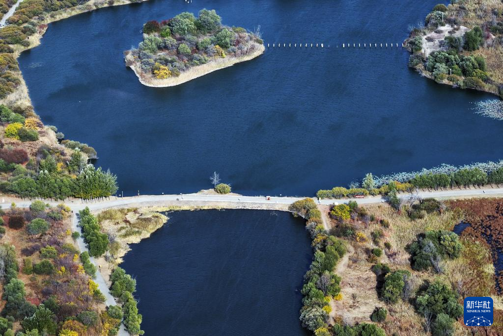 哈尔滨湿地秋韵美