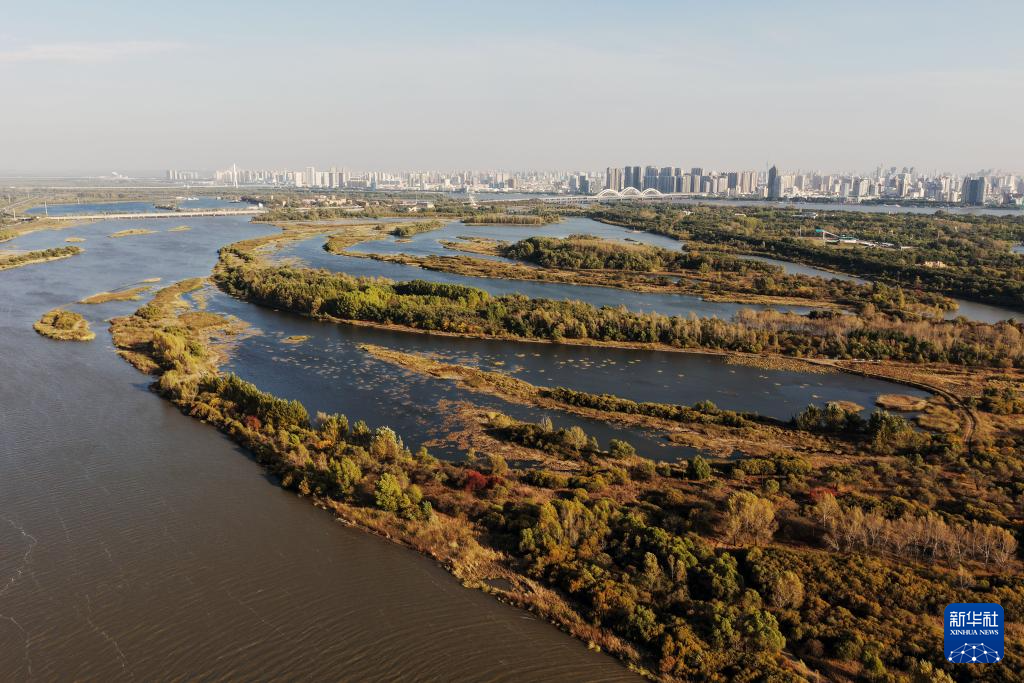 哈尔滨湿地秋韵美