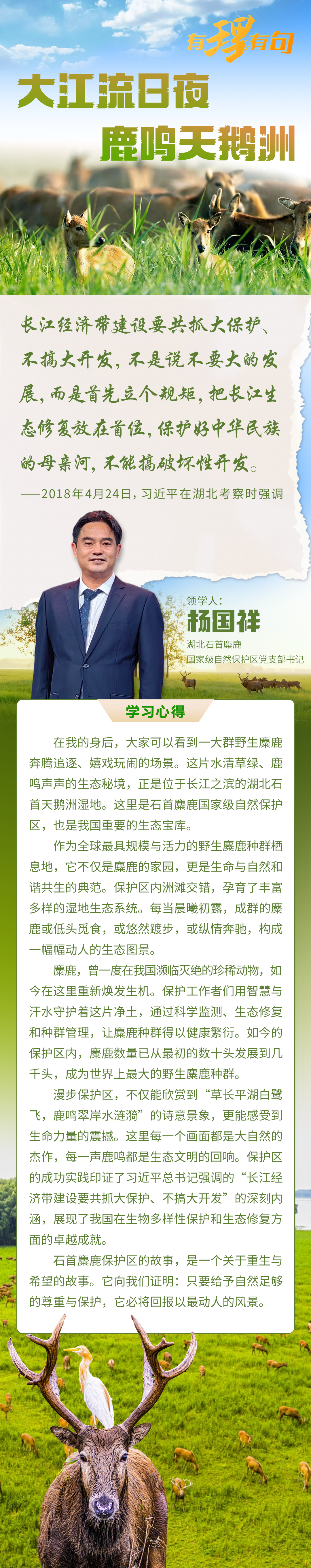 天鹅洲 图解.png.png