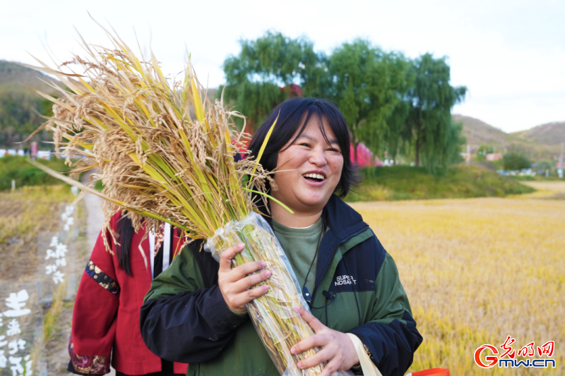 文化中国行·红星照耀中国丨如今延安，更不一般