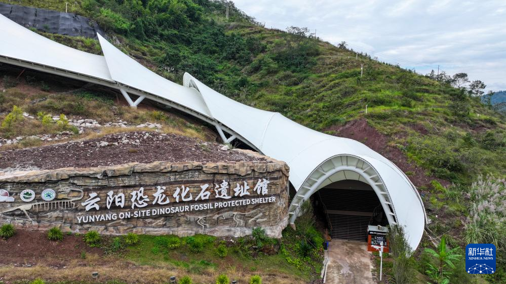 新时代中国调研行之文化中华|重庆云阳的“侏罗纪公园”