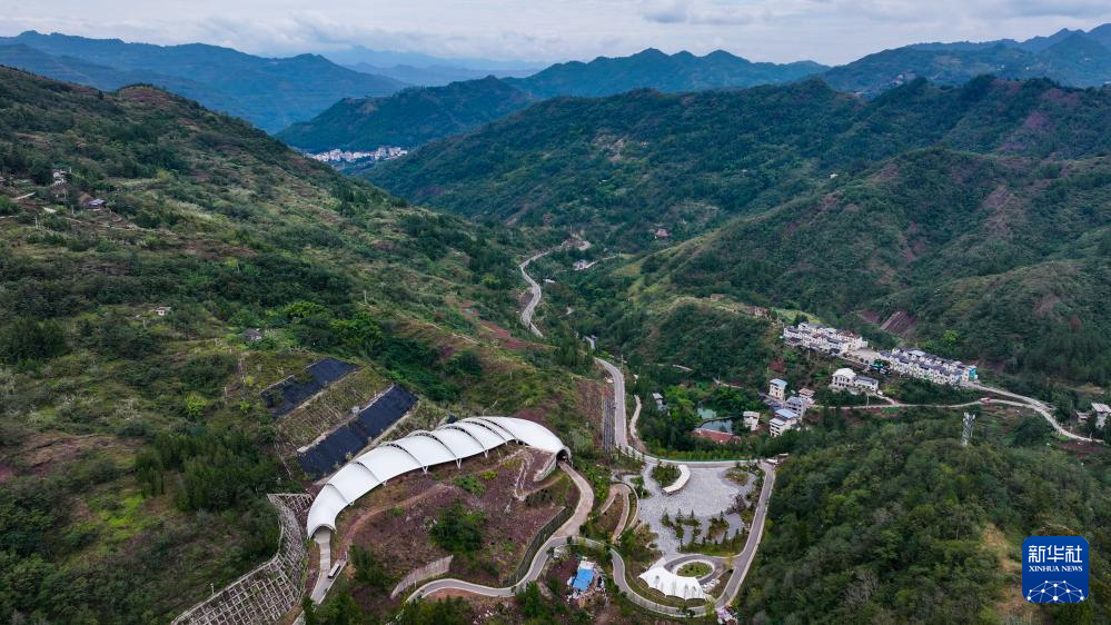 新时代中国调研行之文化中华|重庆云阳的“侏罗纪公园”