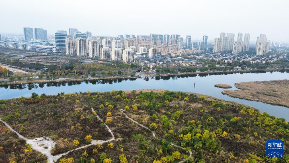 中国之城丨山东东营:河海交汇的湿地之城