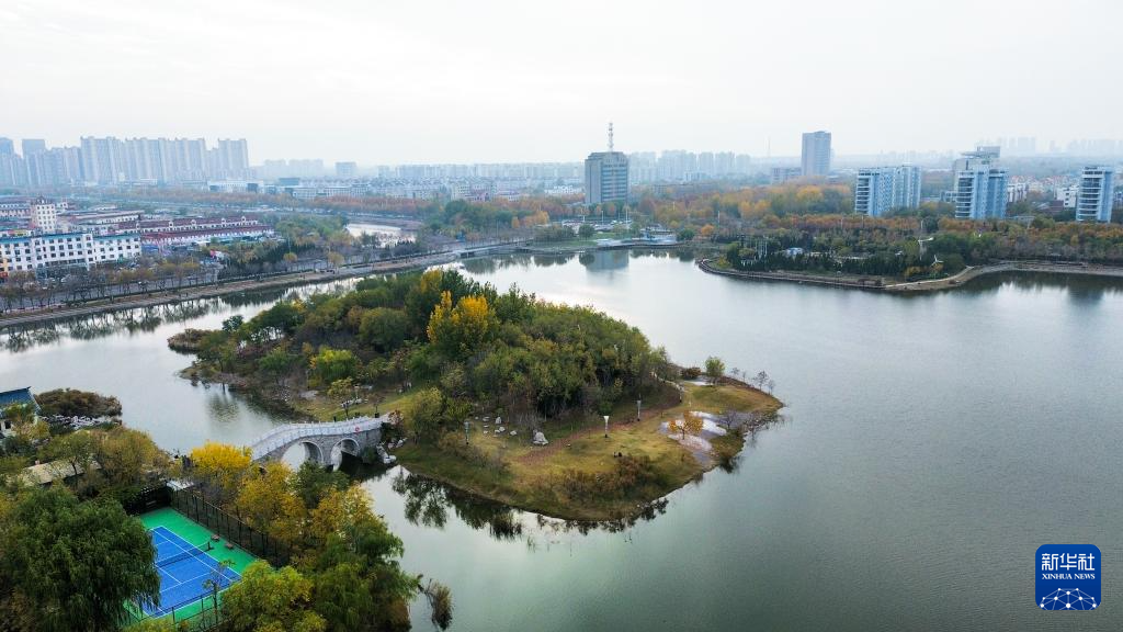 中国之城丨山东东营:河海交汇的湿地之城