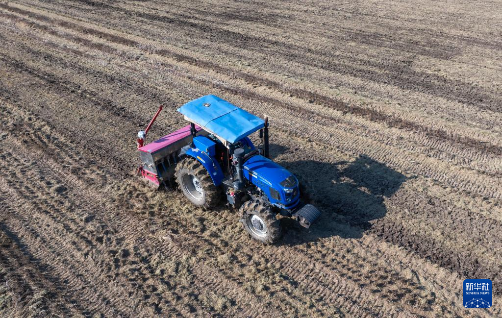 全国冬小麦播种过九成
