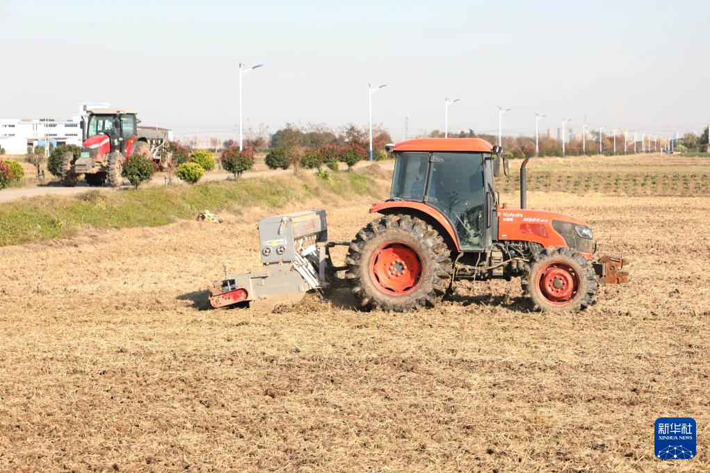 全国冬小麦播种过九成