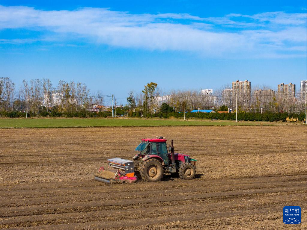 全国冬小麦播种过九成