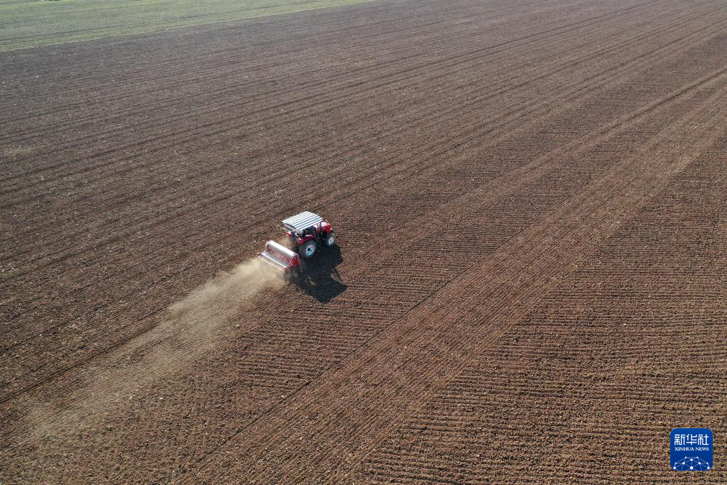 全国冬小麦播种过九成