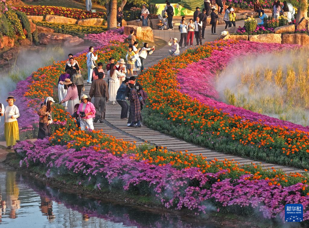 冬日暖阳映花俏