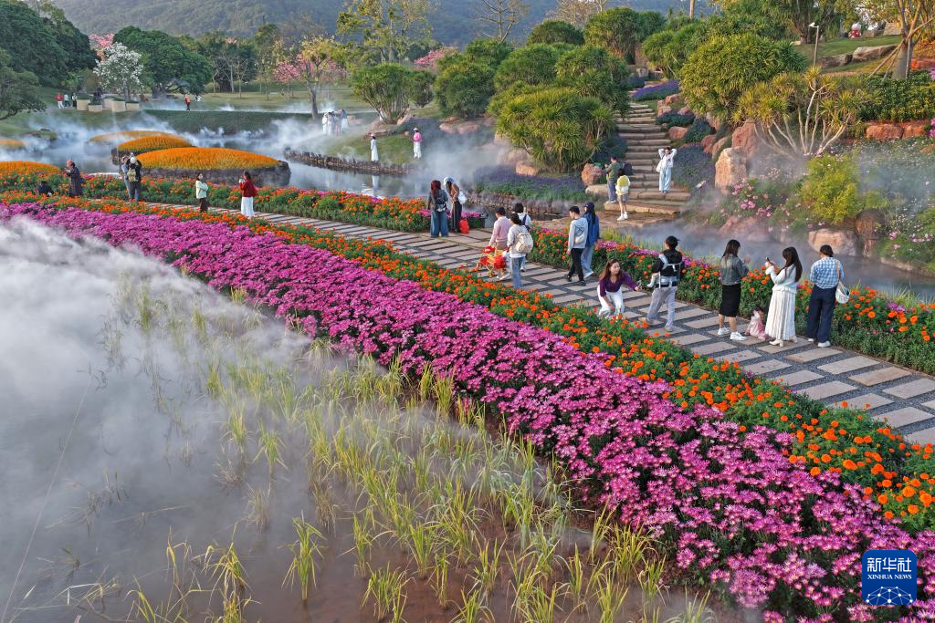 冬日暖阳映花俏