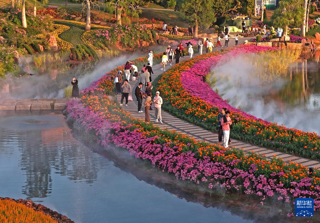 冬日暖阳映花俏